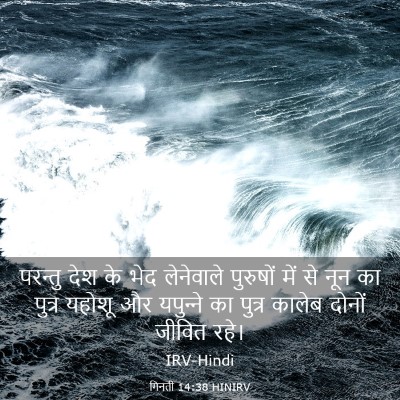 Picture 03 - गिनती 14:38 HINIRV - परन्तु देश के भेद - Bible Verse Picture