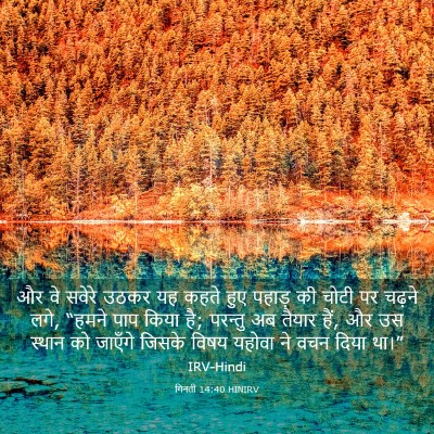 Picture 03 - गिनती 14:40 HINIRV - और वे सवेरे उठकर यह - Bible Verse Picture