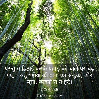 Picture 03 - गिनती 14:44 HINIRV - परन्तु वे ढिठाई - Bible Verse Picture