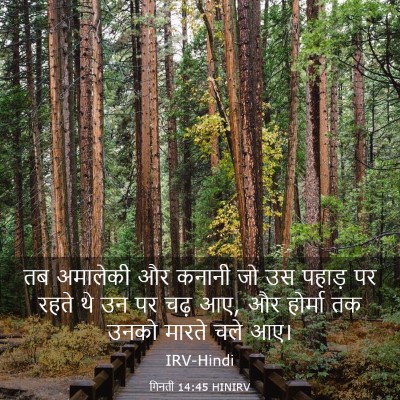 Picture 03 - गिनती 14:45 HINIRV - तब अमालेकी और - Bible Verse Picture