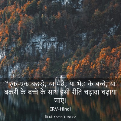 Picture 03 - गिनती 15:11 HINIRV - “एक-एक बछड़े, या - Bible Verse Picture