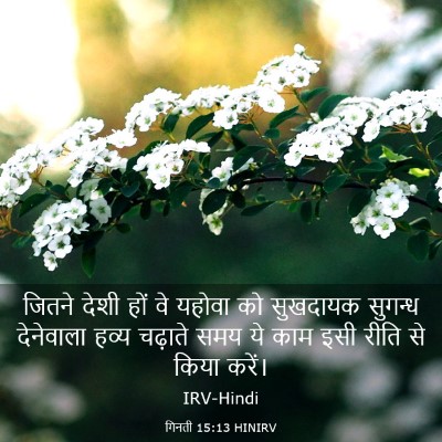 Picture 03 - गिनती 15:13 HINIRV - जितने देशी हों वे - Bible Verse Picture