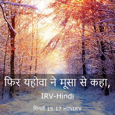 Picture 03 - गिनती 15:17 HINIRV - फिर यहोवा ने मूसा - Bible Verse Picture