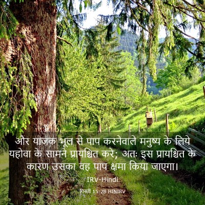 Picture 03 - गिनती 15:28 HINIRV - और याजक भूल से पाप - Bible Verse Picture