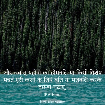Picture 03 - गिनती 15:8 HINIRV - और जब तू यहोवा को - Bible Verse Picture