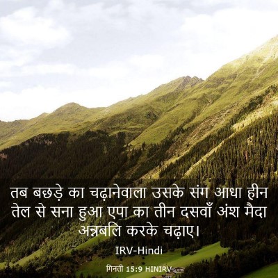 Picture 03 - गिनती 15:9 HINIRV - तब बछड़े का - Bible Verse Picture