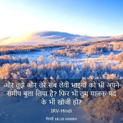 Picture 03 - गिनती 16:10 HINIRV - और तुझे और तेरे सब - Bible Verse Picture