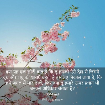 Picture 03 - गिनती 16:13 HINIRV - क्या यह एक छोटी बात - Bible Verse Picture