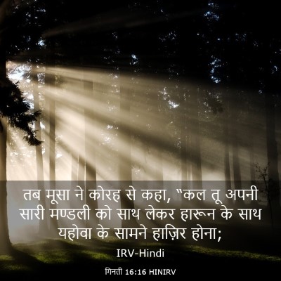 Picture 03 - गिनती 16:16 HINIRV - तब मूसा ने कोरह से - Bible Verse Picture