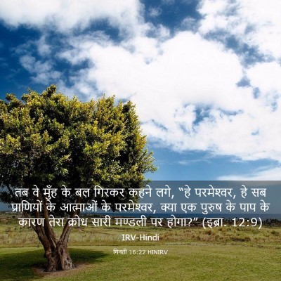 Picture 03 - गिनती 16:22 HINIRV - तब वे मुँह के बल - Bible Verse Picture