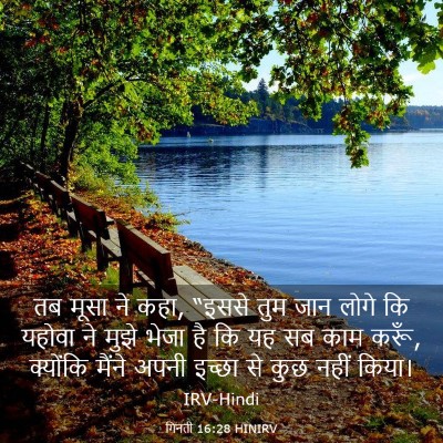 Picture 03 - गिनती 16:28 HINIRV - तब मूसा ने कहा, - Bible Verse Picture