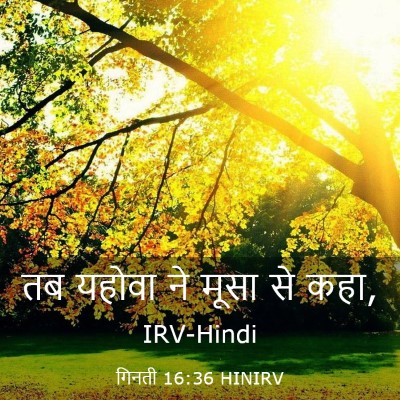 Picture 03 - गिनती 16:36 HINIRV - तब यहोवा ने मूसा से - Bible Verse Picture