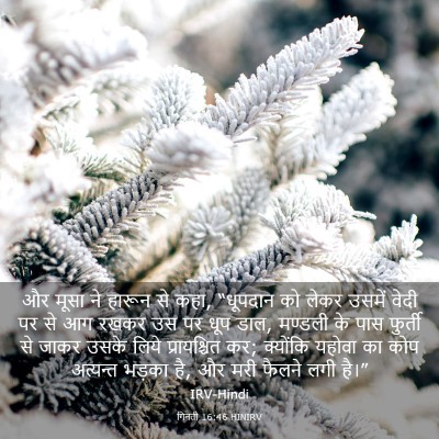 Picture 03 - गिनती 16:46 HINIRV - और मूसा ने हारून से - Bible Verse Picture
