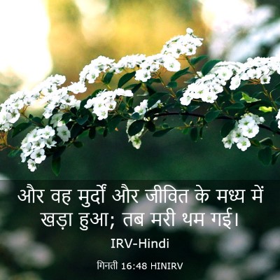 Picture 03 - गिनती 16:48 HINIRV - और वह मुर्दों और - Bible Verse Picture
