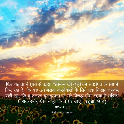 Picture 03 - गिनती 17:10 HINIRV - फिर यहोवा ने मूसा - Bible Verse Picture