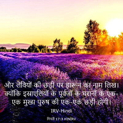 Picture 03 - गिनती 17:3 HINIRV - और लेवियों की छड़ी - Bible Verse Picture