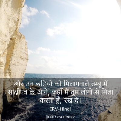 Picture 03 - गिनती 17:4 HINIRV - और उन छड़ियों को - Bible Verse Picture