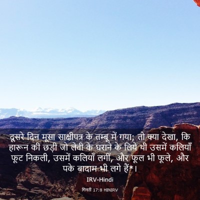 Picture 03 - गिनती 17:8 HINIRV - दूसरे दिन मूसा - Bible Verse Picture