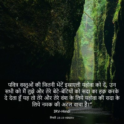 Picture 03 - गिनती 18:19 HINIRV - पवित्र वस्तुओं की - Bible Verse Picture