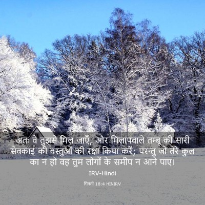 Picture 03 - गिनती 18:4 HINIRV - अतः वे तुझसे मिल - Bible Verse Picture