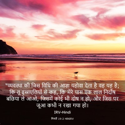 Picture 03 - गिनती 19:2 HINIRV - “व्यवस्था की जिस - Bible Verse Picture