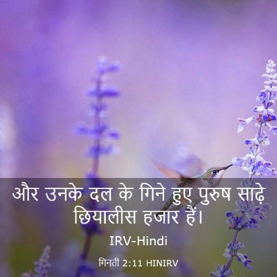 Picture 03 - गिनती 2:11 HINIRV - और उनके दल के गिने - Bible Verse Picture