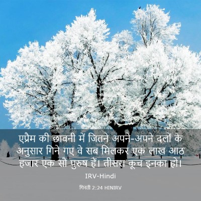 Picture 03 - गिनती 2:24 HINIRV - एप्रैम की छावनी - Bible Verse Picture