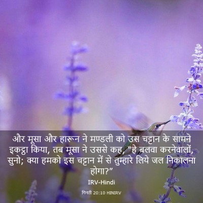Picture 03 - गिनती 20:10 HINIRV - और मूसा और हारून ने - Bible Verse Picture