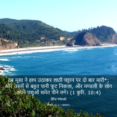 Picture 03 - गिनती 20:11 HINIRV - तब मूसा ने हाथ - Bible Verse Picture