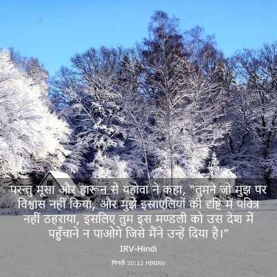 Picture 03 - गिनती 20:12 HINIRV - परन्तु मूसा और - Bible Verse Picture