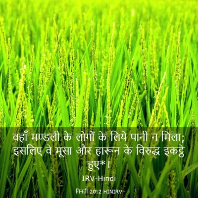 Picture 03 - गिनती 20:2 HINIRV - वहाँ मण्डली के - Bible Verse Picture