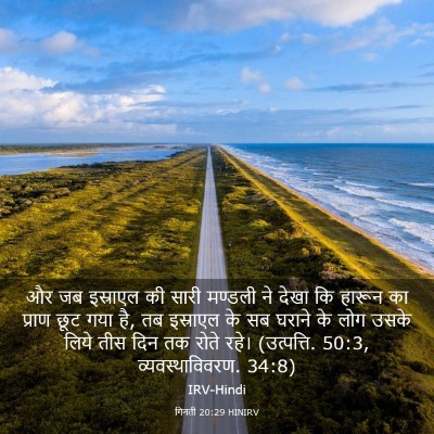 Picture 03 - गिनती 20:29 HINIRV - और जब इस्राएल की - Bible Verse Picture