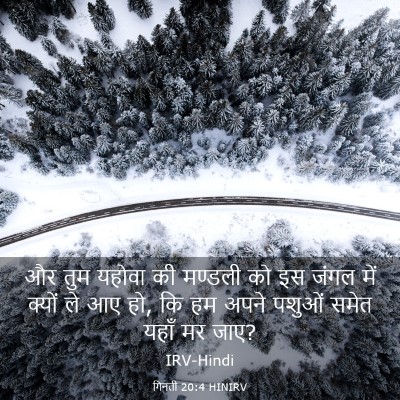 Picture 03 - गिनती 20:4 HINIRV - और तुम यहोवा की - Bible Verse Picture