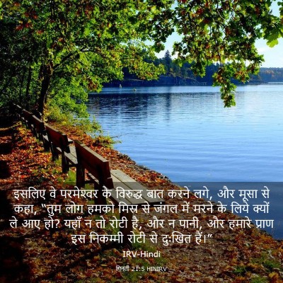 Picture 03 - गिनती 21:5 HINIRV - इसलिए वे - Bible Verse Picture