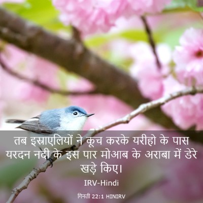 Picture 03 - गिनती 22:1 HINIRV - तब इस्राएलियों ने - Bible Verse Picture