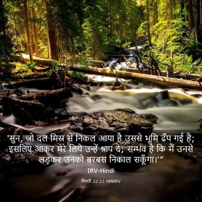 Picture 03 - गिनती 22:11 HINIRV - 'सुन, जो दल मिस्र से - Bible Verse Picture