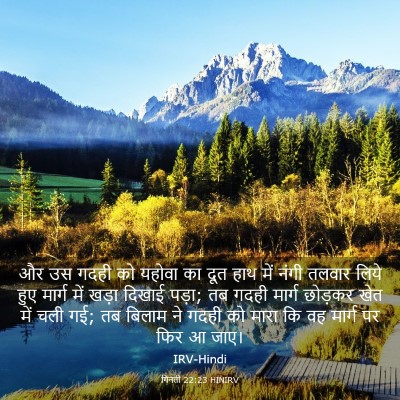 Picture 03 - गिनती 22:23 HINIRV - और उस गदही को यहोवा - Bible Verse Picture