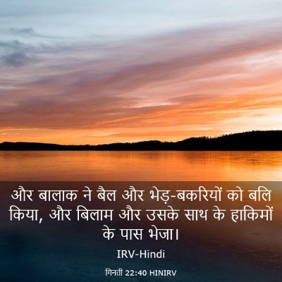 Picture 03 - गिनती 22:40 HINIRV - और बालाक ने बैल और - Bible Verse Picture