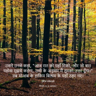 Picture 03 - गिनती 22:8 HINIRV - उसने उनसे कहा, “आज - Bible Verse Picture