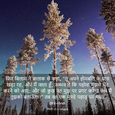Picture 03 - गिनती 23:3 HINIRV - फिर बिलाम ने बालाक - Bible Verse Picture
