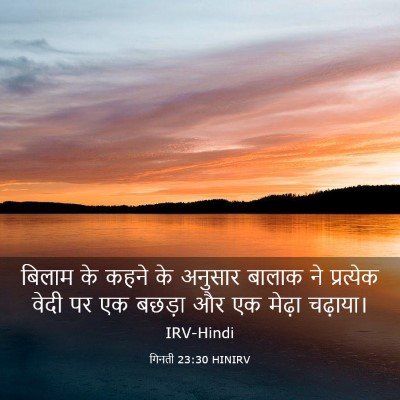 Picture 03 - गिनती 23:30 HINIRV - बिलाम के कहने के - Bible Verse Picture