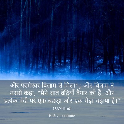 Picture 03 - गिनती 23:4 HINIRV - और परमेश्‍वर - Bible Verse Picture