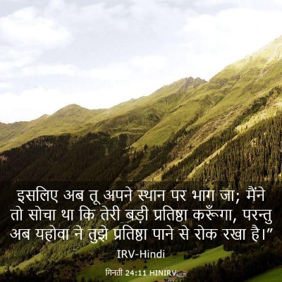Picture 03 - गिनती 24:11 HINIRV - इसलिए अब तू अपने - Bible Verse Picture