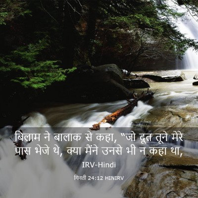 Picture 03 - गिनती 24:12 HINIRV - बिलाम ने बालाक से - Bible Verse Picture