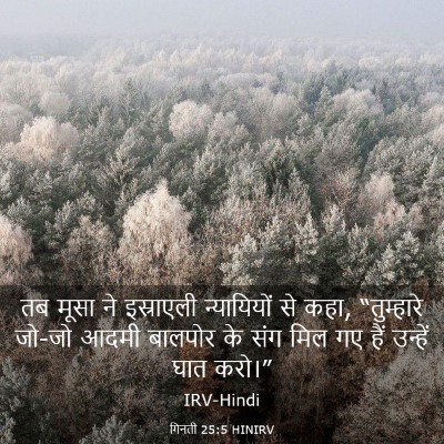 Picture 03 - गिनती 25:5 HINIRV - तब मूसा ने - Bible Verse Picture