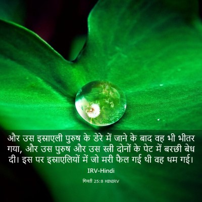 Picture 03 - गिनती 25:8 HINIRV - और उस इस्राएली - Bible Verse Picture