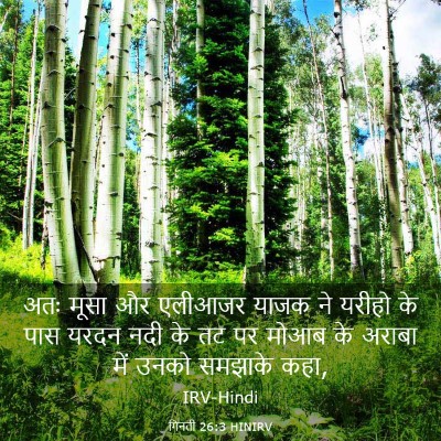 Picture 03 - गिनती 26:3 HINIRV - अतः मूसा और एलीआजर - Bible Verse Picture