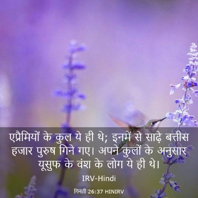 Picture 03 - गिनती 26:37 HINIRV - एप्रैमियों के कुल - Bible Verse Picture