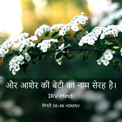 Picture 03 - गिनती 26:46 HINIRV - और आशेर की बेटी का - Bible Verse Picture