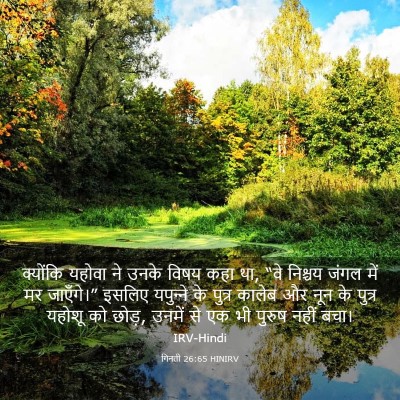 Picture 03 - गिनती 26:65 HINIRV - क्योंकि यहोवा ने - Bible Verse Picture